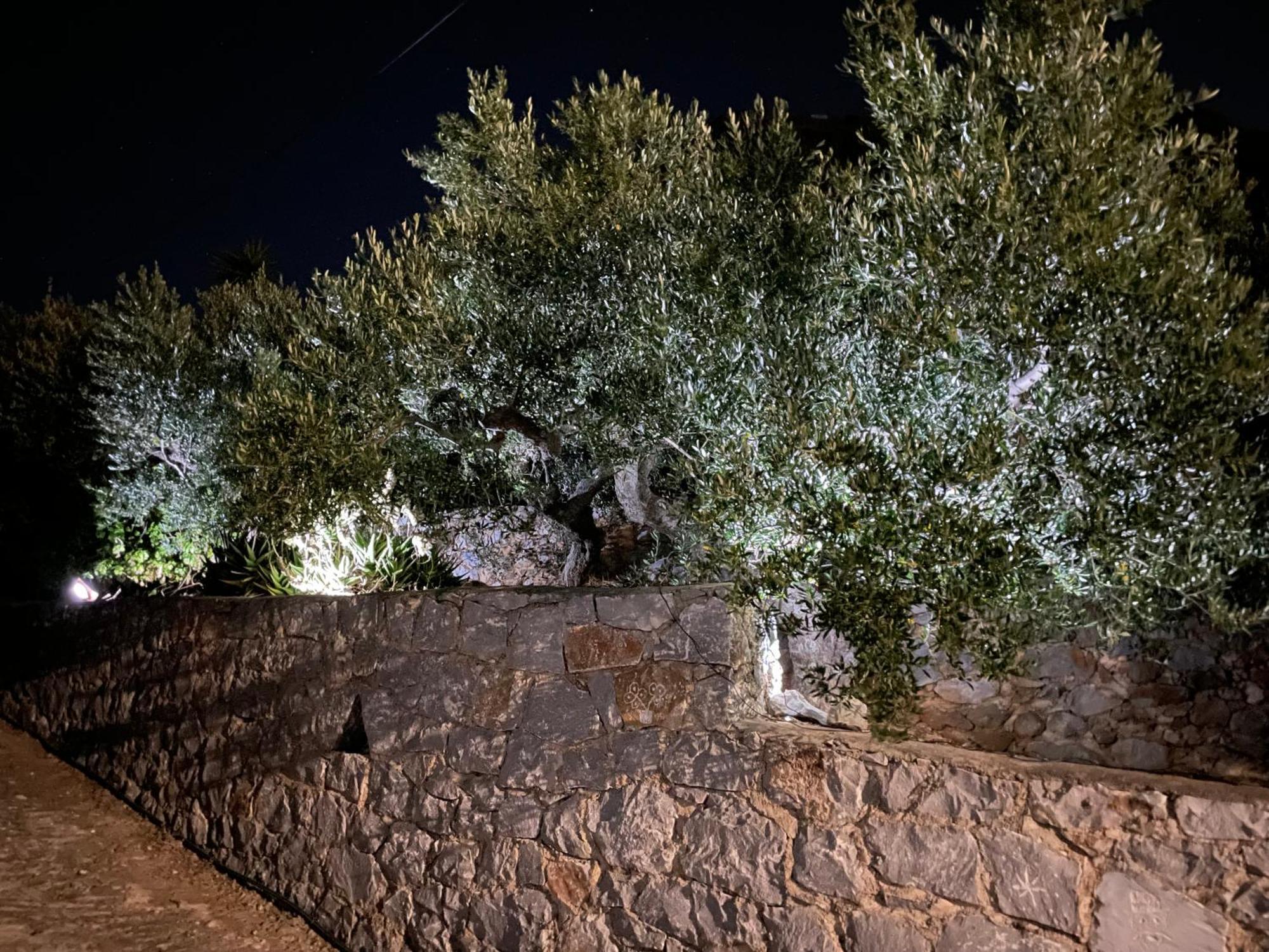 Πύργος Παραδοσιακός Με Μαγευτική Θέα - Villa Traditional Tower With Amazing Sea View Areopoli Dış mekan fotoğraf